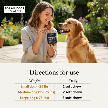 BrightPup Kidney Support Chews